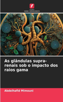 As glândulas supra-renais sob o impacto dos raios gama