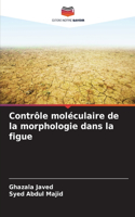 Contrôle moléculaire de la morphologie dans la figue
