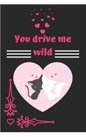 You drive me wild