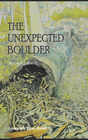 The Unexpected Boulder