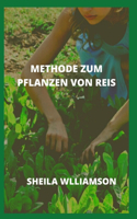 Methode Zum Pflanzen Von Reis