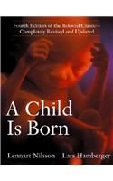 A Child Is Born