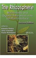 The Rhizosphere