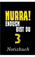 Hurra Endlich Bist Du 3 Notizbuch: - Notizbuch mit 110 linierten Seiten - Format 6x9 DIN A5 - Soft cover matt -