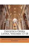 Exegetica Opera Latina, Volumes 17-18