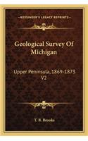 Geological Survey Of Michigan: Upper Peninsula, 1869-1873 V2: Iron Bearing Rocks(English)