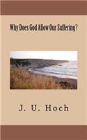Why Does God Allow Our Suffering?: (English)