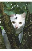 White Cat in a Tree Journal
