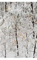 Winter Journal Snowstorm Small Trees: (Seasonal Winter Photo Journals Notebooks Diaries)