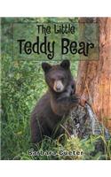 Little Teddy Bear