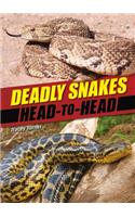 Deadly Snakes