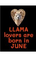 Llama Lovers are born in June: Llama Notebook Journal - Blank Llama notebook - Funny Llama Birthday Gifts for Animal Lovers - Llama Gifts for Women, Girls and Kids