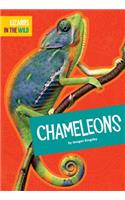 Chameleons