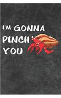 I'm Gonna Pinch You Notebook Journal
