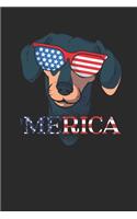 Merica Dachshund