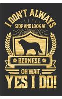 I Don't Always Stop and Look At Bernese OH Wait, Yes I Do!: Personal Planner 24 month 100 page 6 x 9 Dated Calendar Notebook For 2020-2021 Academic Year. Perfect dog lover gift idea for any dog owner