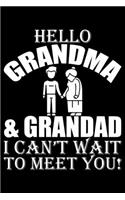 Hello Grandma & Grandad I Can't Wait To Meet You: Grandparent's Day Journal Notebook Gifts, Funny Grandpa & Grandma Notebook Journal, Grandmother & Grandfather Journal, Grandparents Journal for Gran