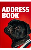 Address Book
