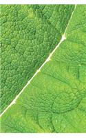 Leaf Veins Notebook: Blank Journal Diary Memoir Log Logue(32 Go Green 150 Lined)