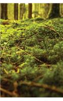 Moss Carpet Notebook: Blank Journal Diary Memoir Log Logue(37 Go Green 150 Lined)