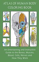 Atlas of Human Body Coloring Book