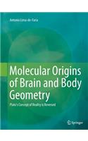 Molecular Origins of Brain and Body Geometry