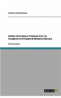 Arthur Schnitzlers Fräulein Else im Vergleich mit Flauberts Madame Bovary: (German)