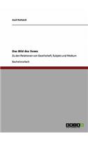 Bild des Sexes: Zu den Relationen von Gesellschaft, Subjekt und Medium