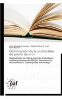 Optimisation de la Production de Plants de Rotin