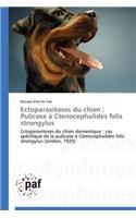 Ectoparasitoses Du Chien: Pulicose À Ctenocephalides Felis Strongylus(Omn.Pres.Franc.)