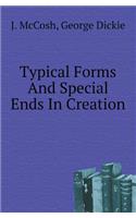 Typical Forms and Special Ends in Creation