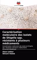 Caractérisation moléculaire des isolats de Shigella spp. résistants à plusieurs médicaments