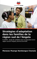 Stratégies d'adaptation dans les familles de la région sud de l'Angola