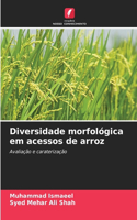 Diversidade morfológica em acessos de arroz