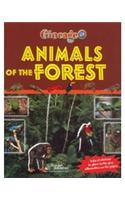 Animals In The Forest