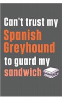 Can't trust my Spanish Greyhound to guard my sandwich: For Spanish Greyhound Dog Breed Fans