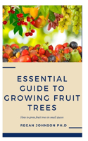 Essential Guide To Growing Fruit Trees