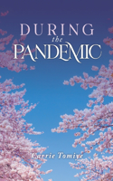 During the Pandemic