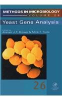 Yeast Gene Analysis