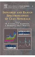 Infrared and Raman Spectroscopies of Clay Minerals