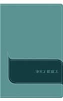 NIV, Understand the Faith Study Bible, Leathersoft, Teal, Indexed