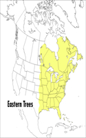 Peterson Field Guide to Eastern Trees