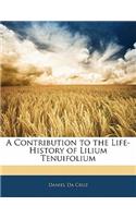 A Contribution to the Life-History of Lilium Tenuifolium