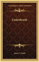 Underbrush