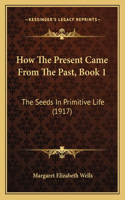 How The Present Came From The Past, Book 1