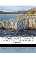 Statewide Audit