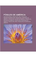 Fosiles de America: Argyrolagidae, Fosiles de Cuba, Fosiles de Republica Dominicana, Fosiles del Cretaceo En America(Spanish)