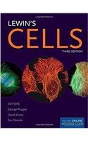 Lewin's Cells