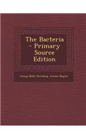 The Bacteria - Primary Source Edition: (English)