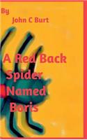 A Red Back Spider Named Boris.